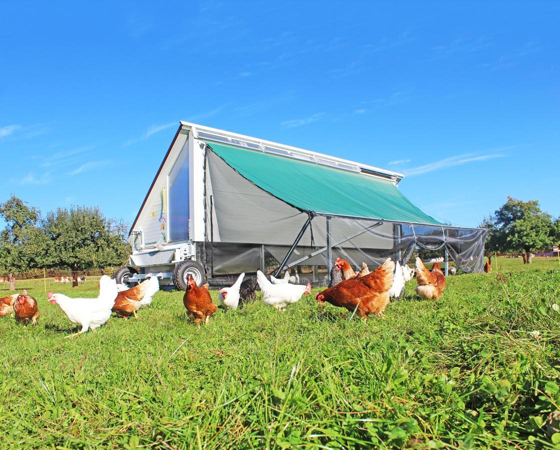 Gasthaus Zum Bauernhof Oberlunkhofen Zewnętrze zdjęcie